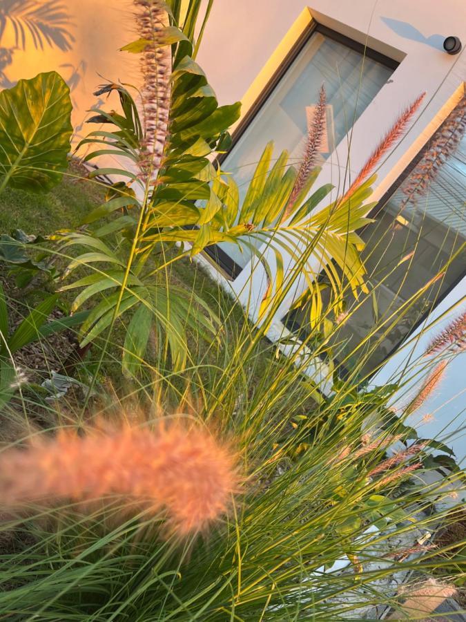 L'Empreinte-Oasis De Serenite Au Coeur D'Un Jardin Tropical Le Tampon Buitenkant foto